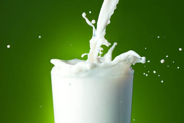 Día de la Leche
